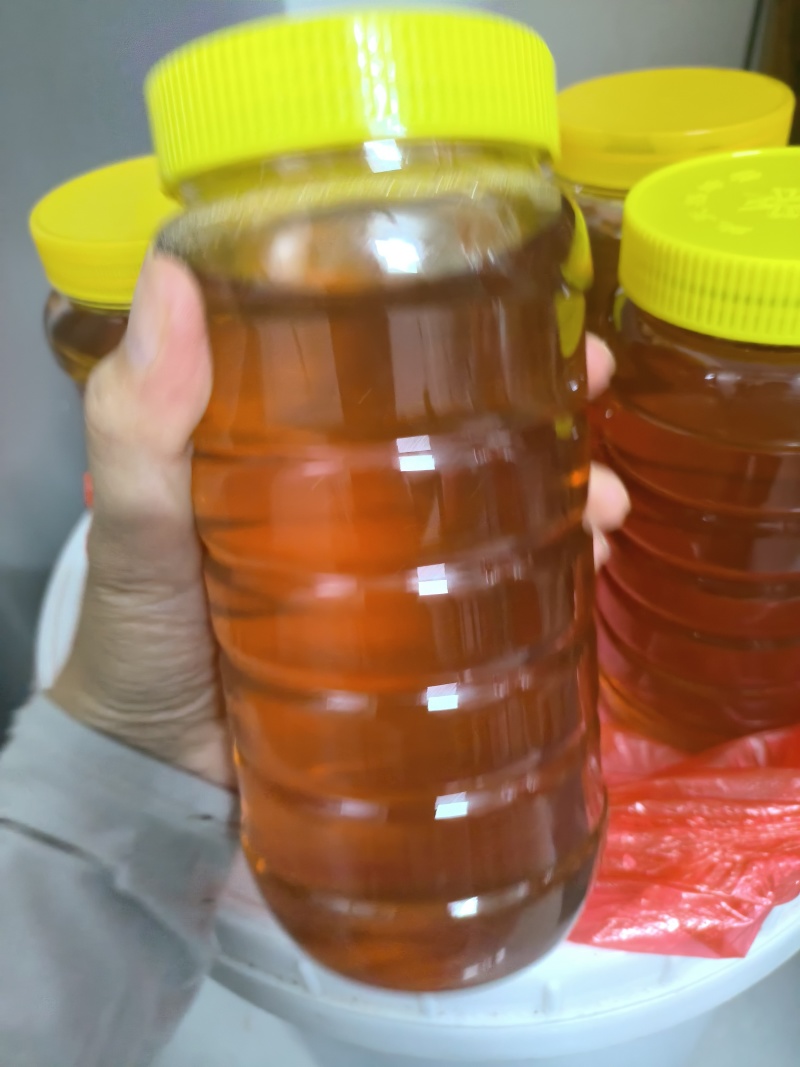 土蜂蜜龙眼蜜火龙果蜜夏蜜小蜜蜂采收蜂蜜水果蜜