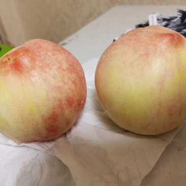 正宗水蜜桃