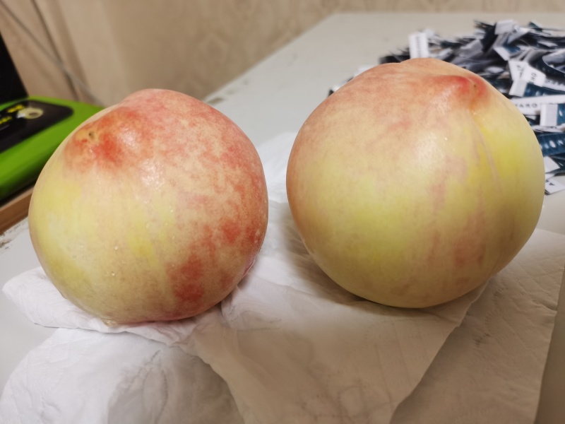 正宗水蜜桃