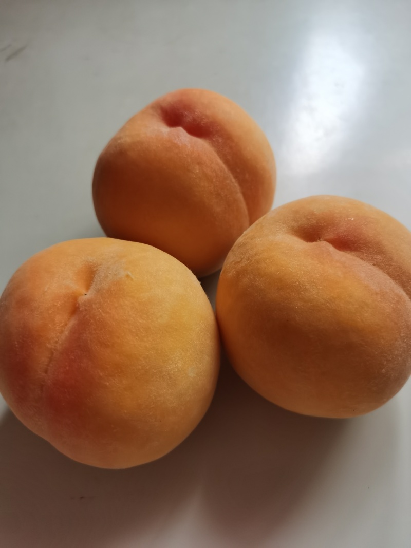 正宗水蜜桃