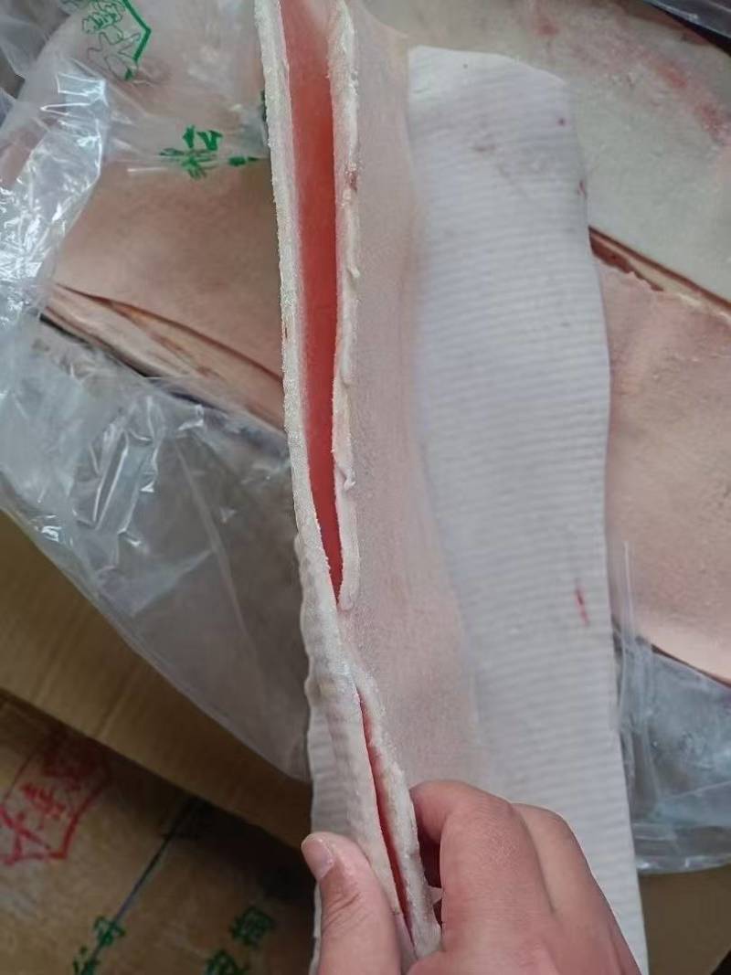 脊背皮现货