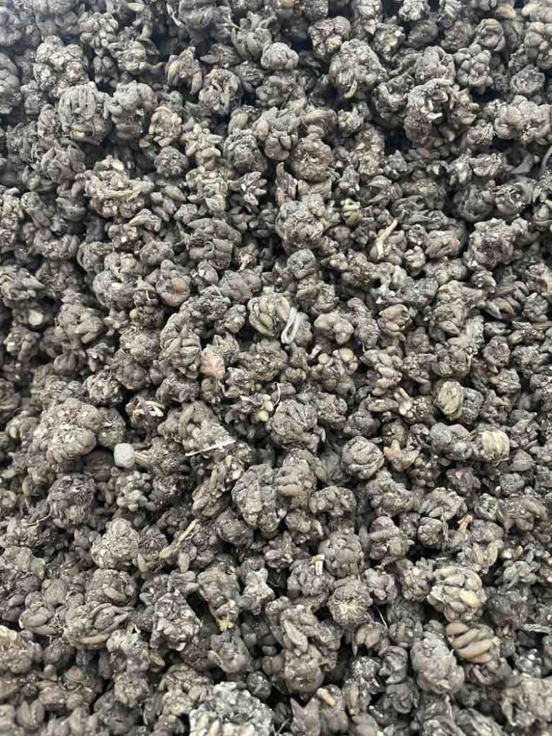 黄皮尖爪黑皮尖爪统货