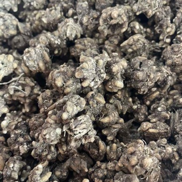 黄皮尖爪黑皮尖爪统货