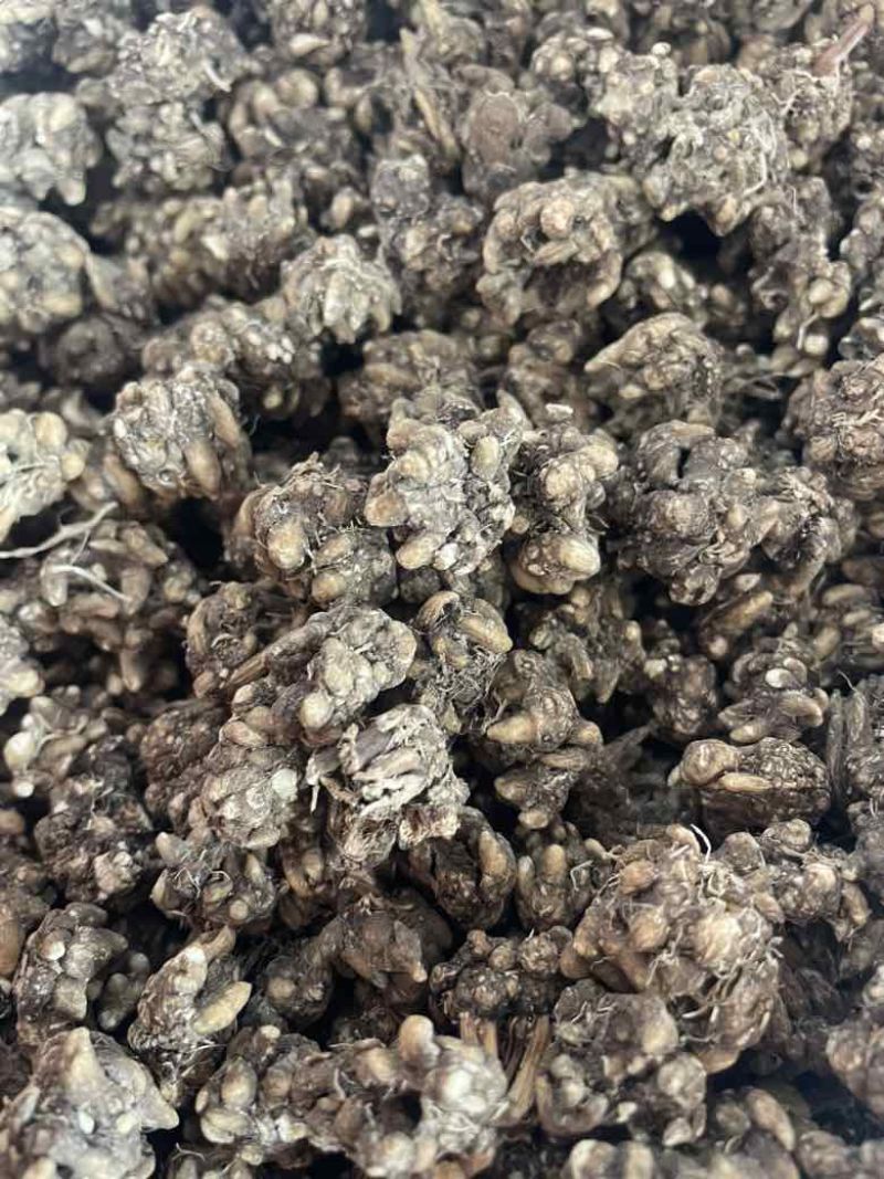 黄皮尖爪黑皮尖爪统货