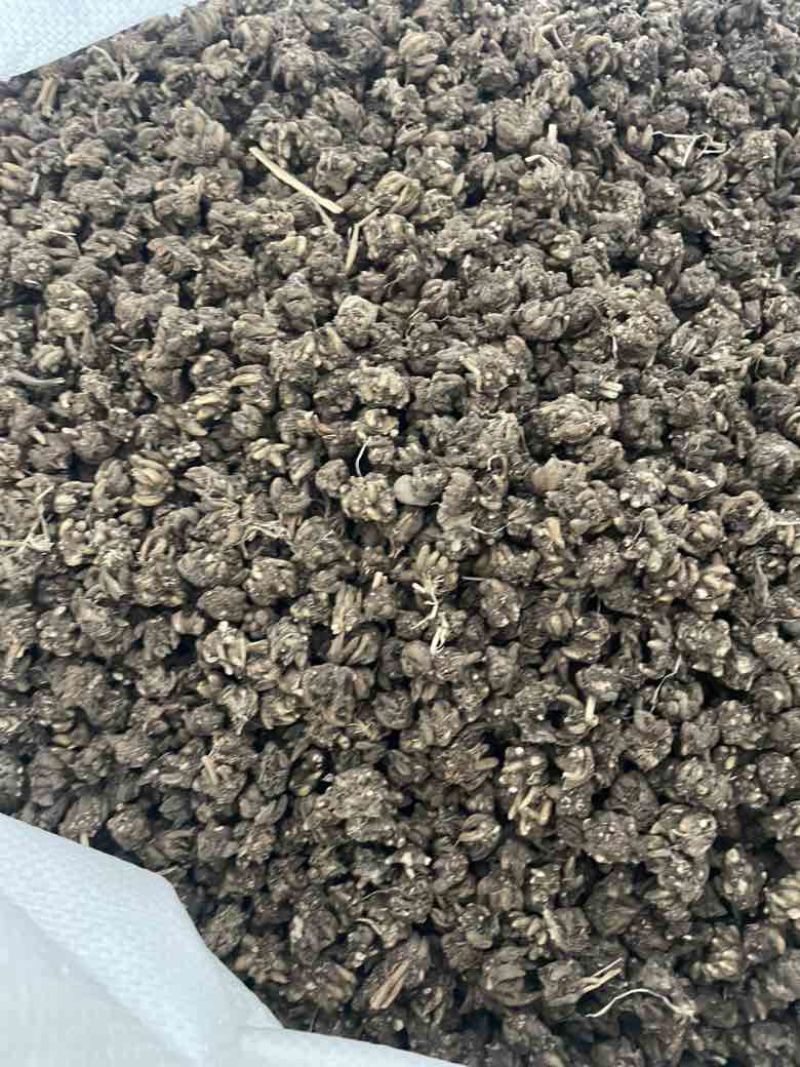 黄皮尖爪黑皮尖爪统货