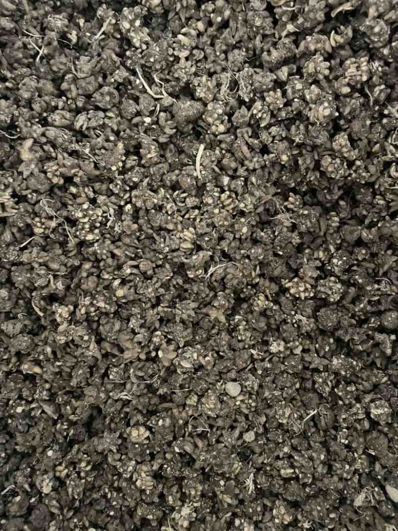 黄皮尖爪黑皮尖爪统货