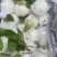 白心芭乐