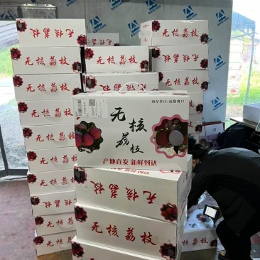 高端水果，无核荔枝，大量上市！