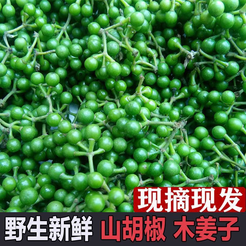 2025新鲜木姜子