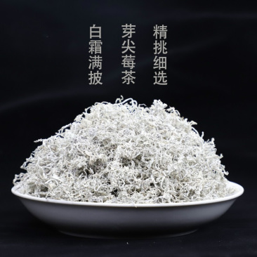 湖南湘西永顺县莓茶