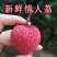 广西桂平麻垌情人荔