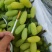河北饶阳维多利亚正在大量上市价格跳楼价