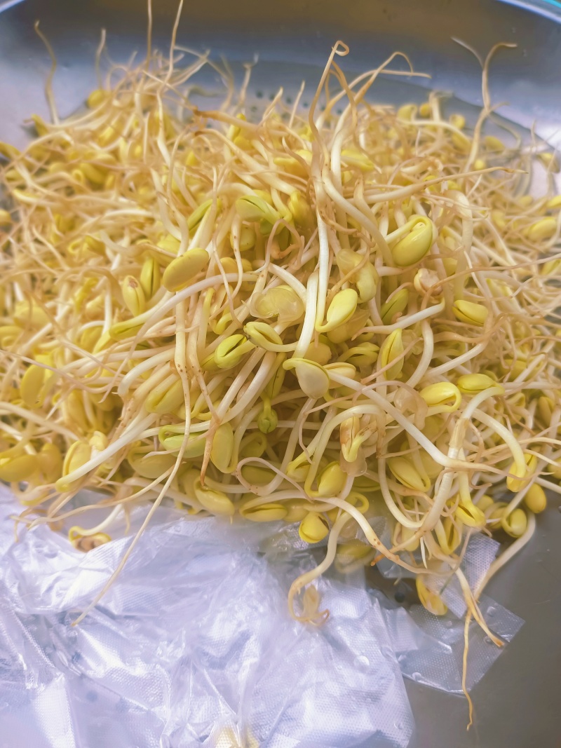 重庆农家大院自种大豆豆芽，***计