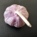 邳州紫皮大蒜