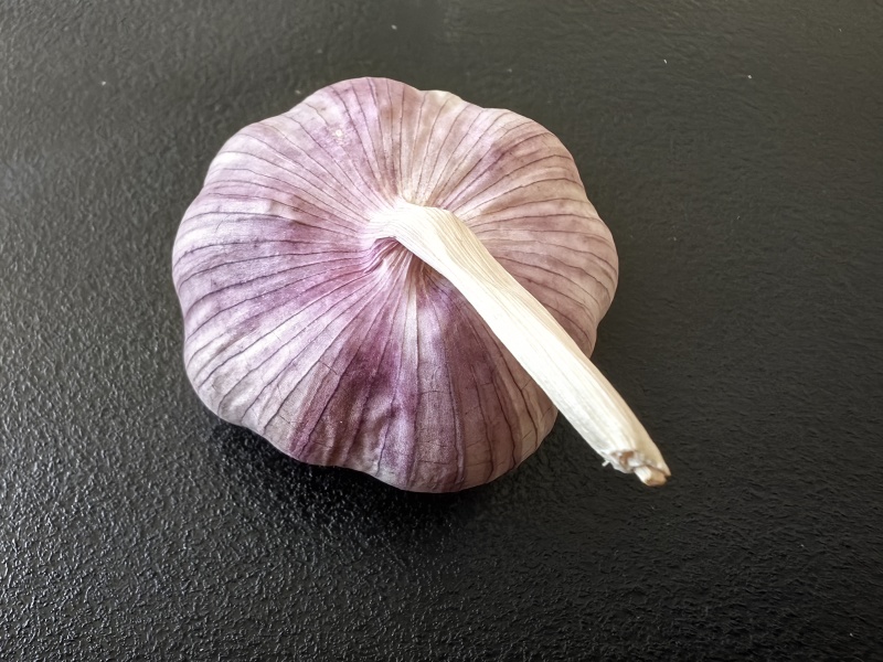 邳州紫皮大蒜