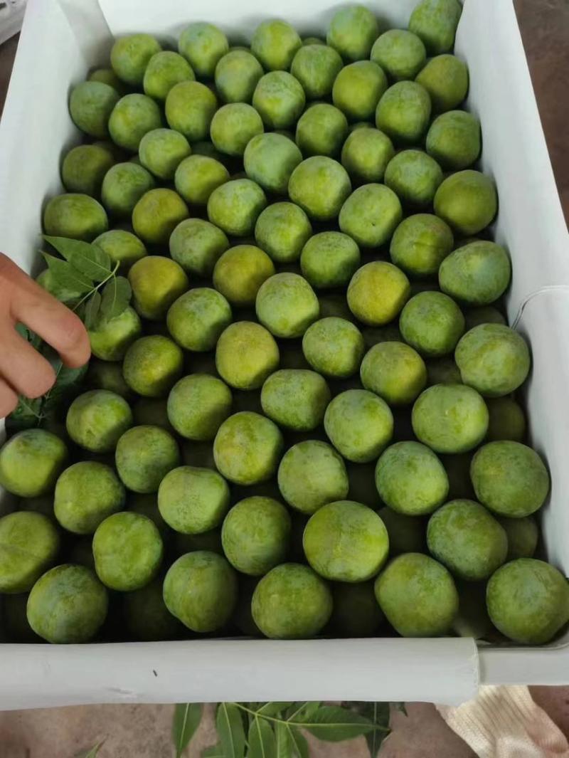 青脆李大量上市了。个头口感今年的比较好。需要的联系。大量供应
