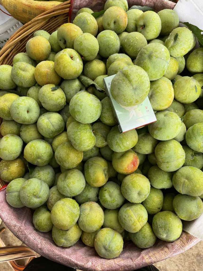 青脆李大量上市了。个头口感今年的比较好。需要的联系。大量供应