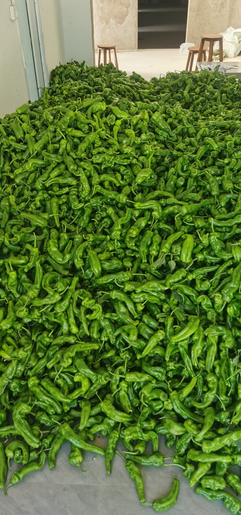 鲜辣椒