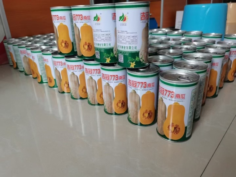 大量花生南瓜