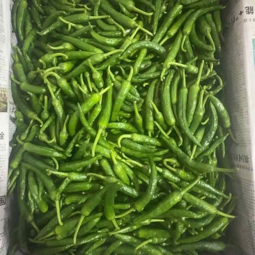 鲜辣椒