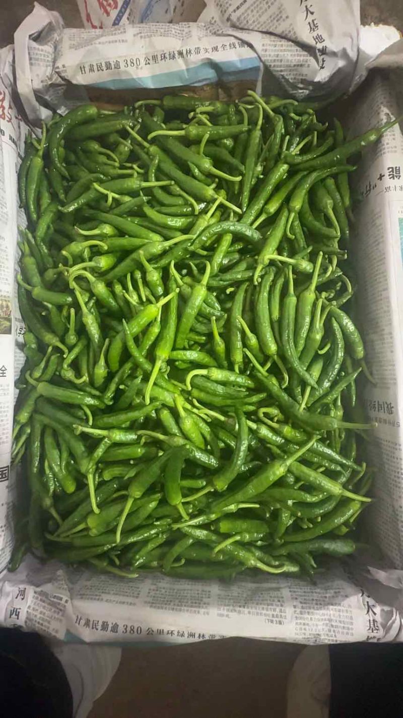 鲜辣椒