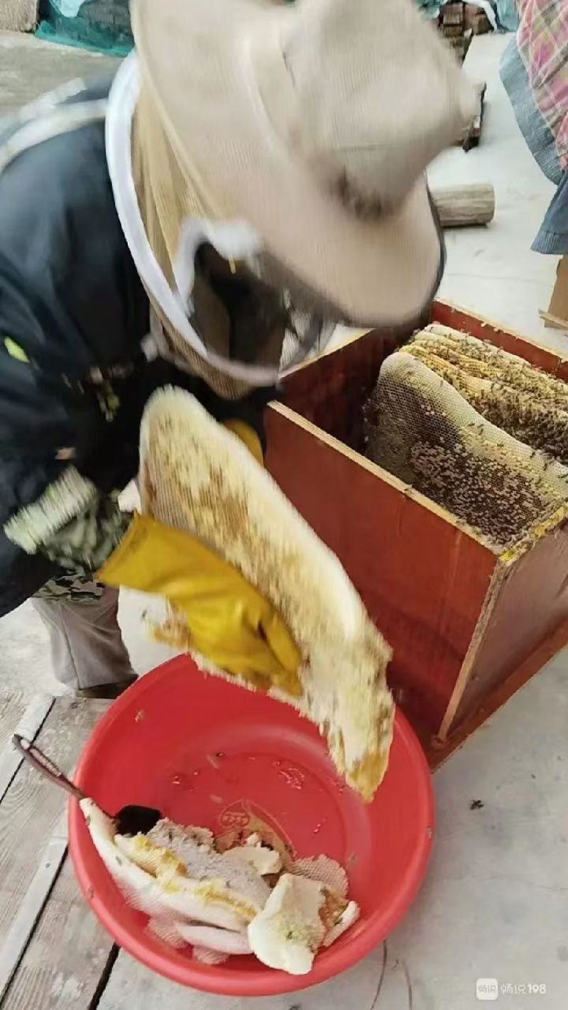 ***土蜂蜜