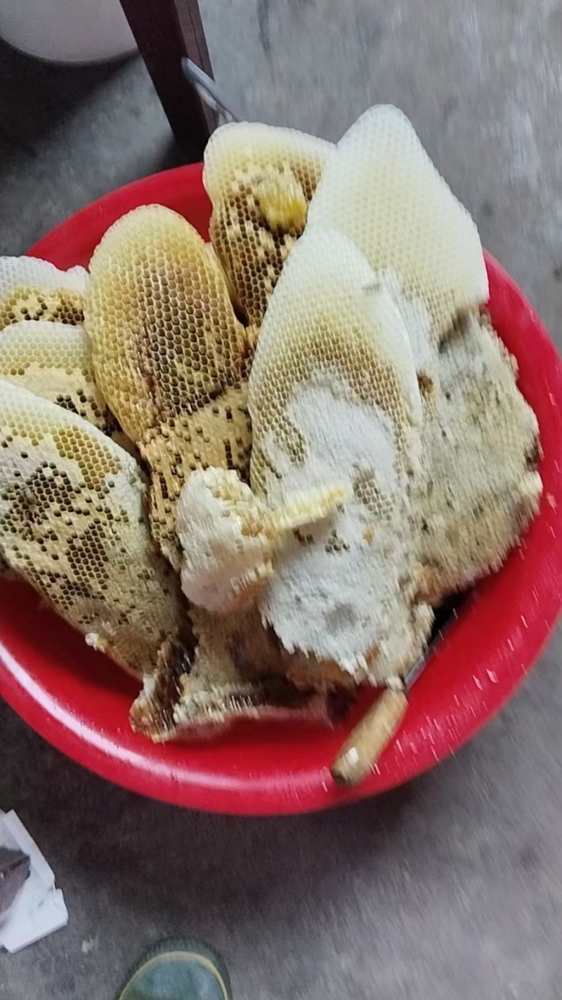 ***土蜂蜜