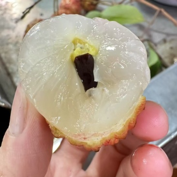 糯米枝荔枝