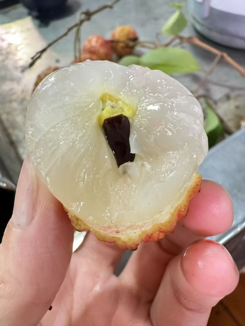 糯米枝荔枝