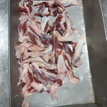 猪前腱筋，也就是一根筋有货