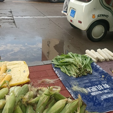 新鲜玉米