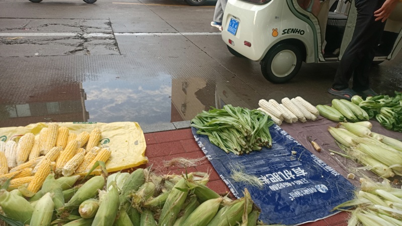 新鲜玉米