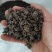 特价野生猫爪草精品无硫猫爪草