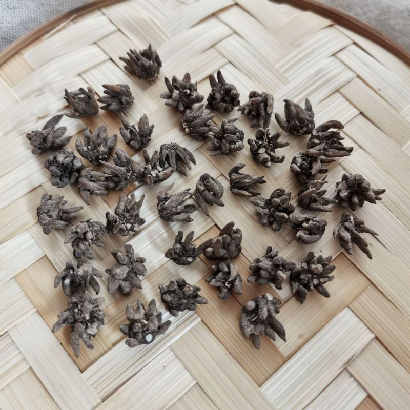 特价野生猫爪草精品无硫猫爪草