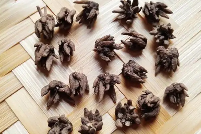 特价野生猫爪草精品无硫猫爪草
