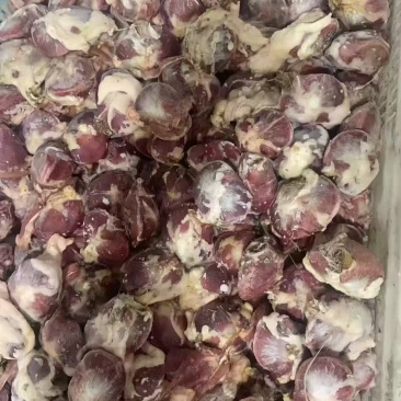 麻鸭毛胗8吨