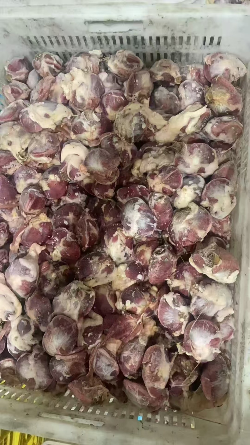 麻鸭毛胗8吨