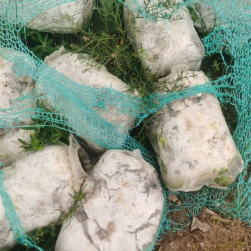 菌棒破碎料10万吨