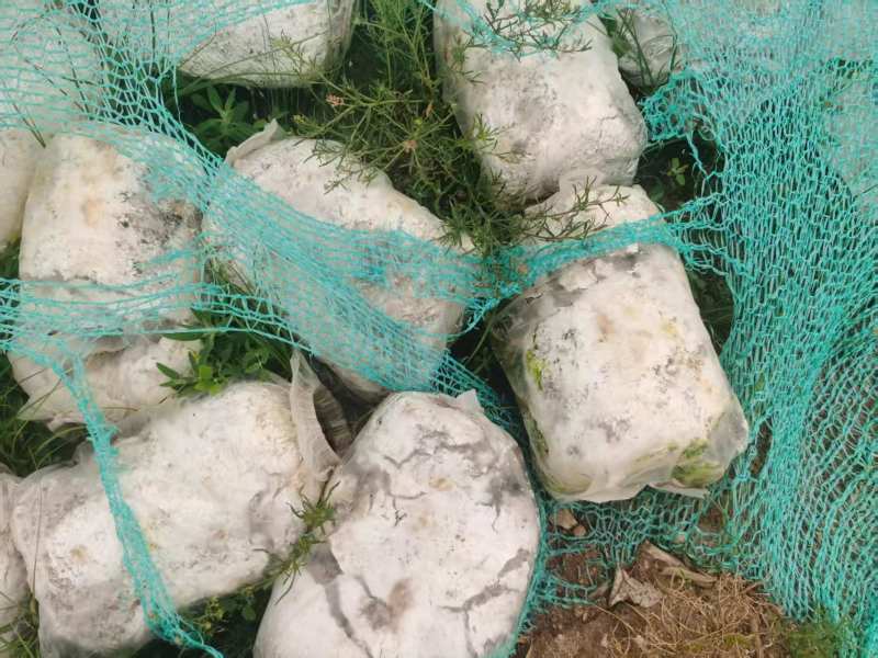 菌棒破碎料10万吨
