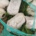 菌棒破碎料10万吨