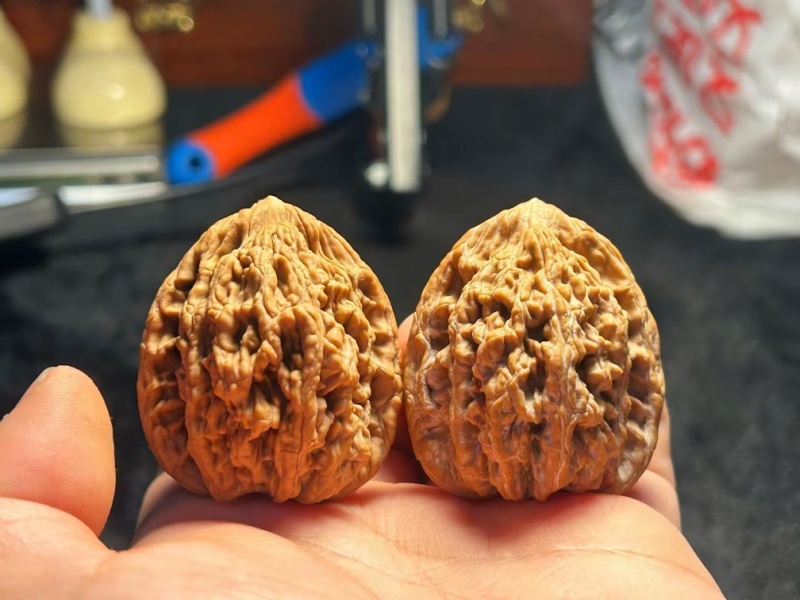 虎头