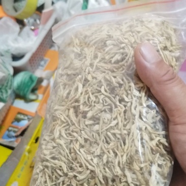 金银花