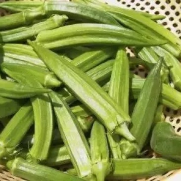 秋葵