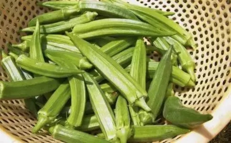 秋葵