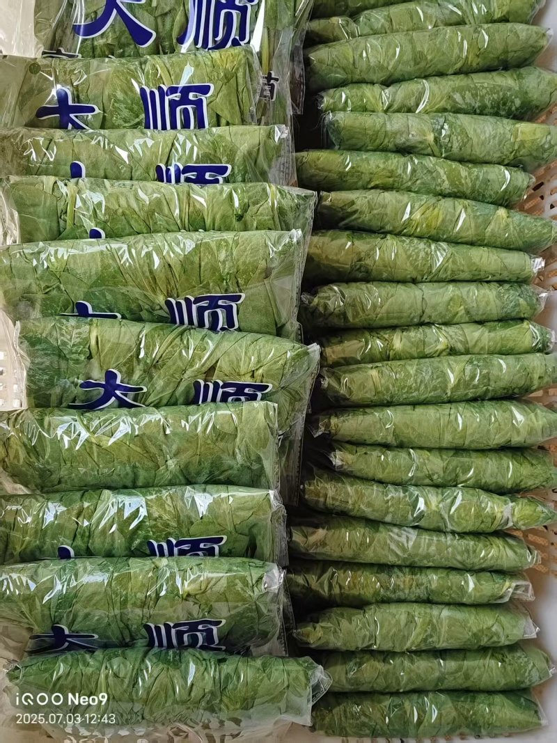 有大量豆尖需要的老板联系