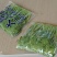 有大量豆尖需要的老板联系