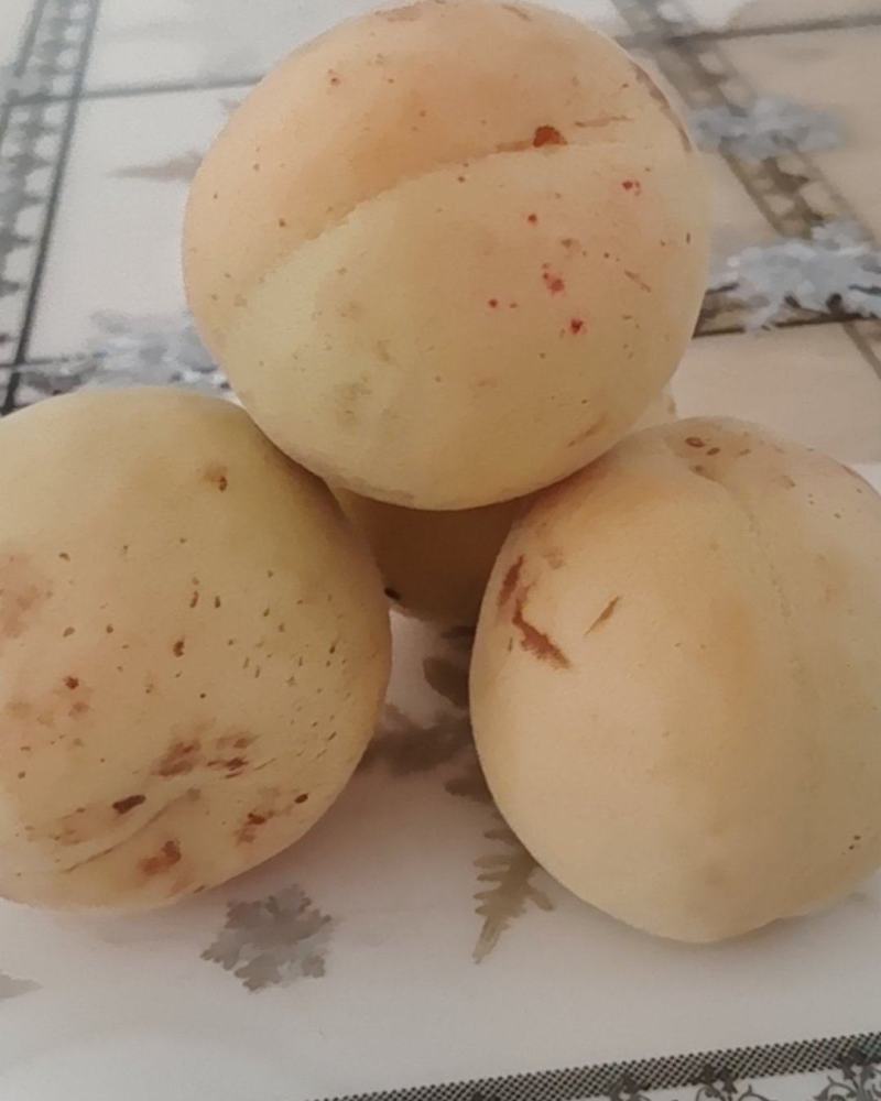 白水杏