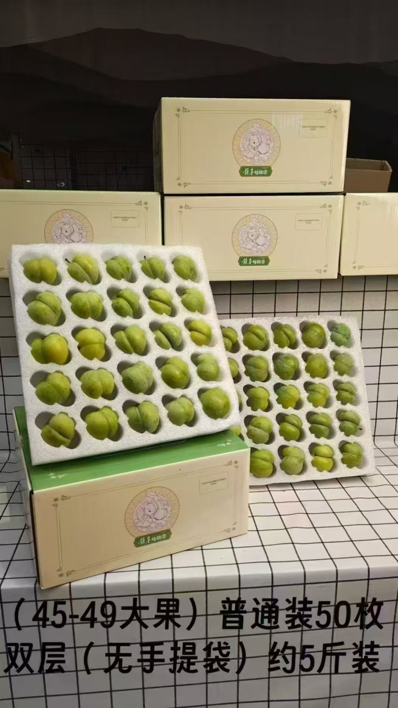正宗六马蜂糖李