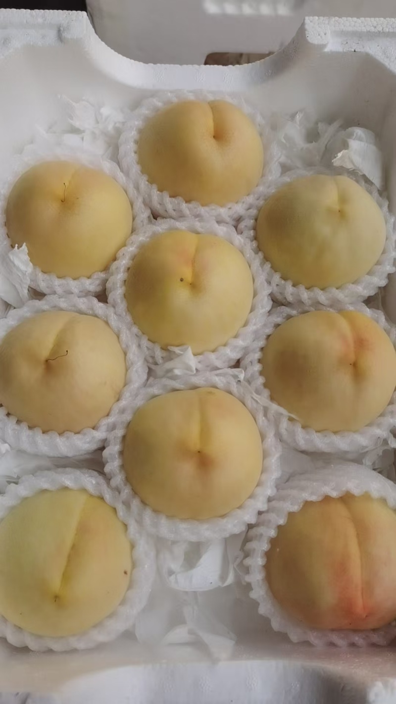正宗新沂水蜜桃