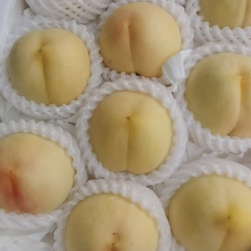 正宗新沂水蜜桃